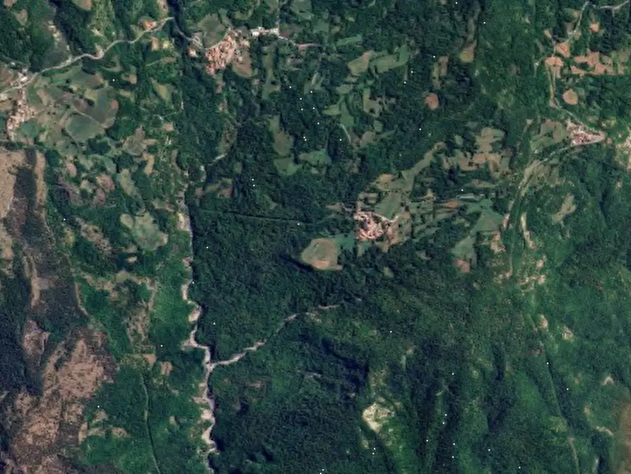 Immagine 24 di Casa indipendente in vendita  in Località Tornarezza a Ferriere