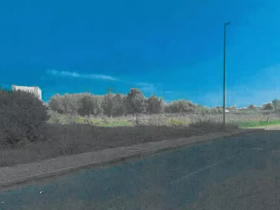 Immagine 2 di Terreno agricolo in vendita  in Località Alessandria  a Alessandria