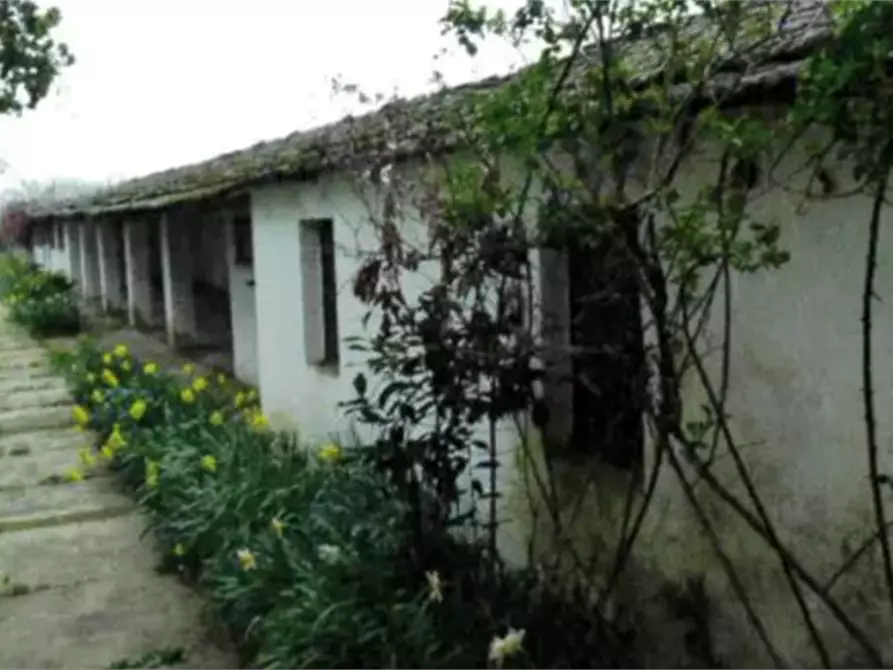 Immagine 5 di Casa indipendente in vendita  in Via Carlo Borra a Alessandria