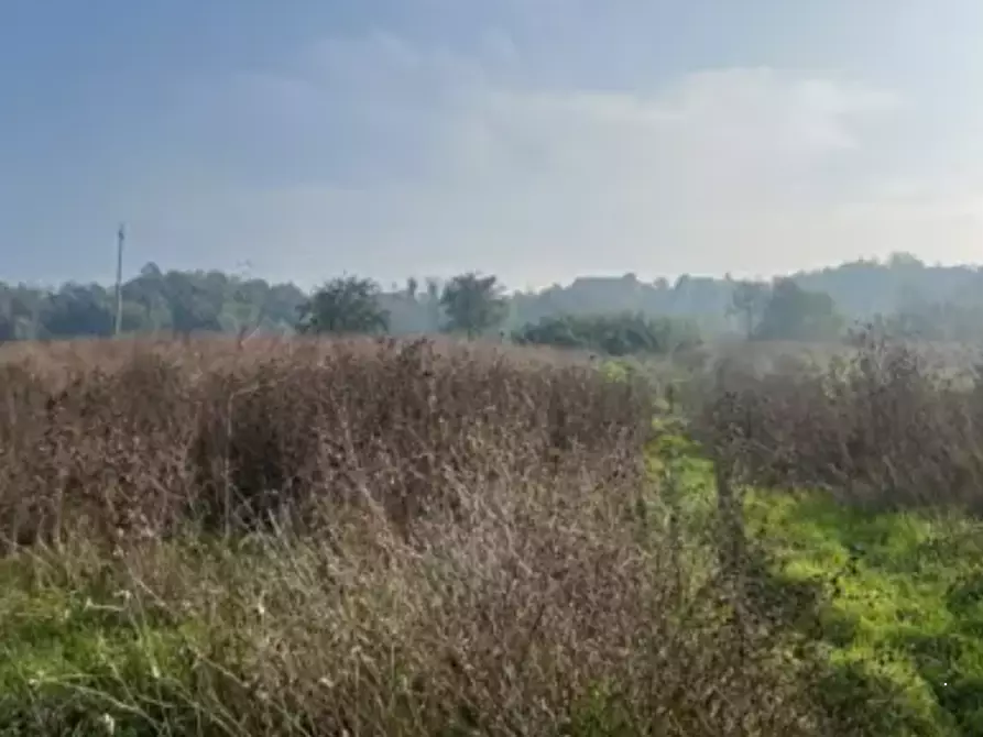 Immagine 3 di Terreno agricolo in vendita  in Via del Campo a Maranzana