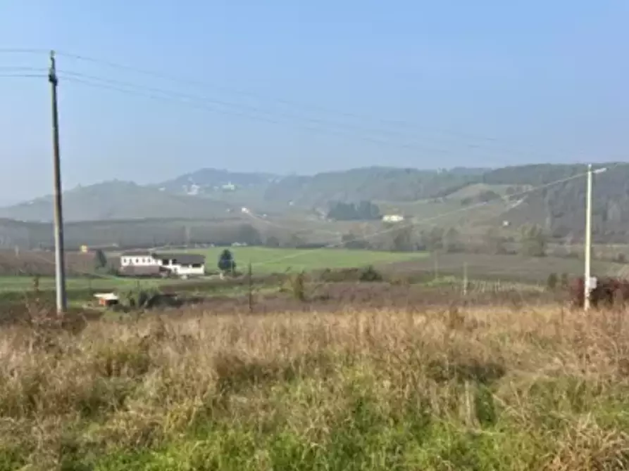 Immagine 4 di Terreno agricolo in vendita  in Via del Campo a Maranzana