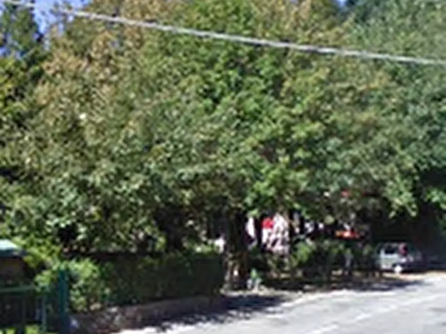 Immagine 9 di Appartamento in vendita  in Via  Bolognese a Pistoia