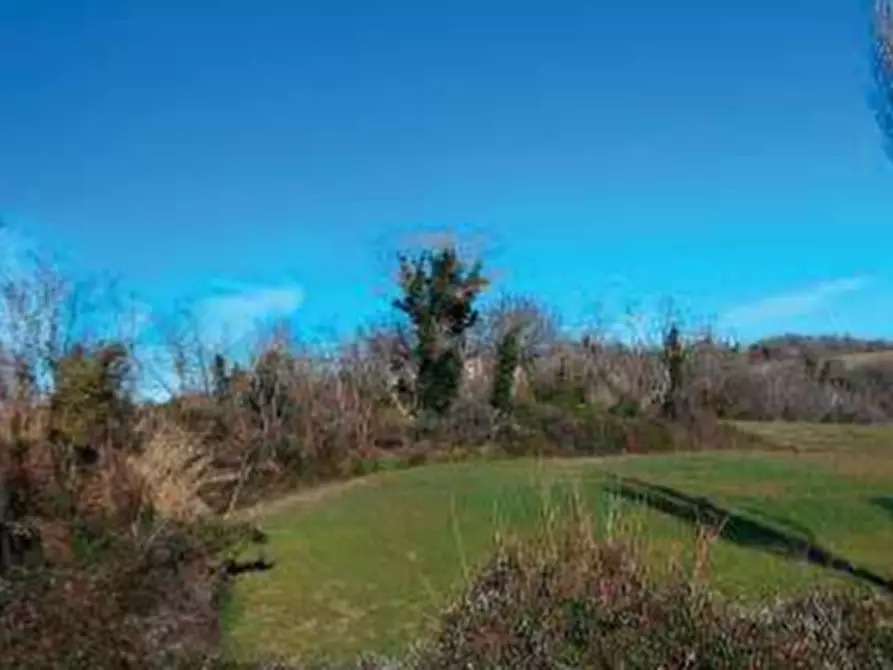 Immagine 2 di Capannone industriale in vendita  in Via Ca Rio a Tavoleto