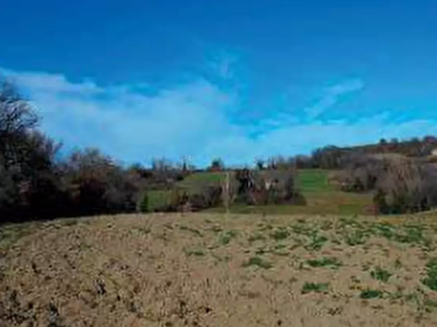 Immagine 5 di Capannone industriale in vendita  in Via Ca Rio a Tavoleto