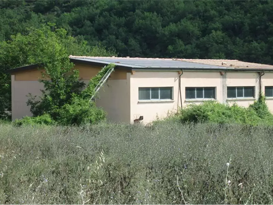 Immagine 1 di Capannone industriale in vendita  in Via la Ghita a Fossombrone
