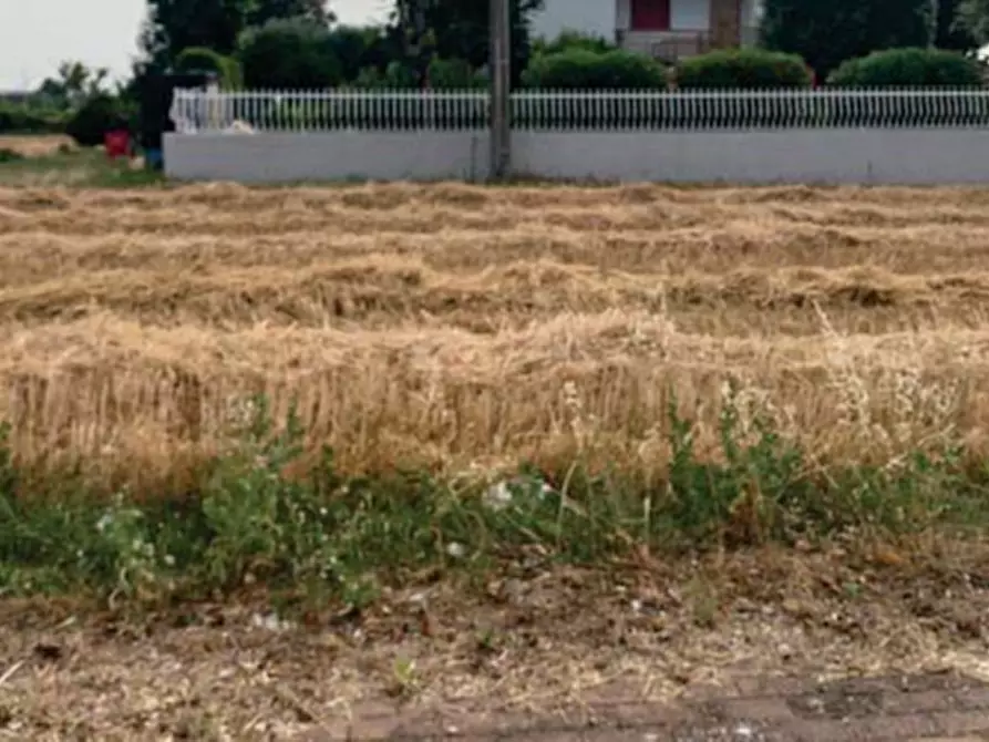Immagine 1 di Terreno edificabile in vendita  in Via della Tombaccia a Fano
