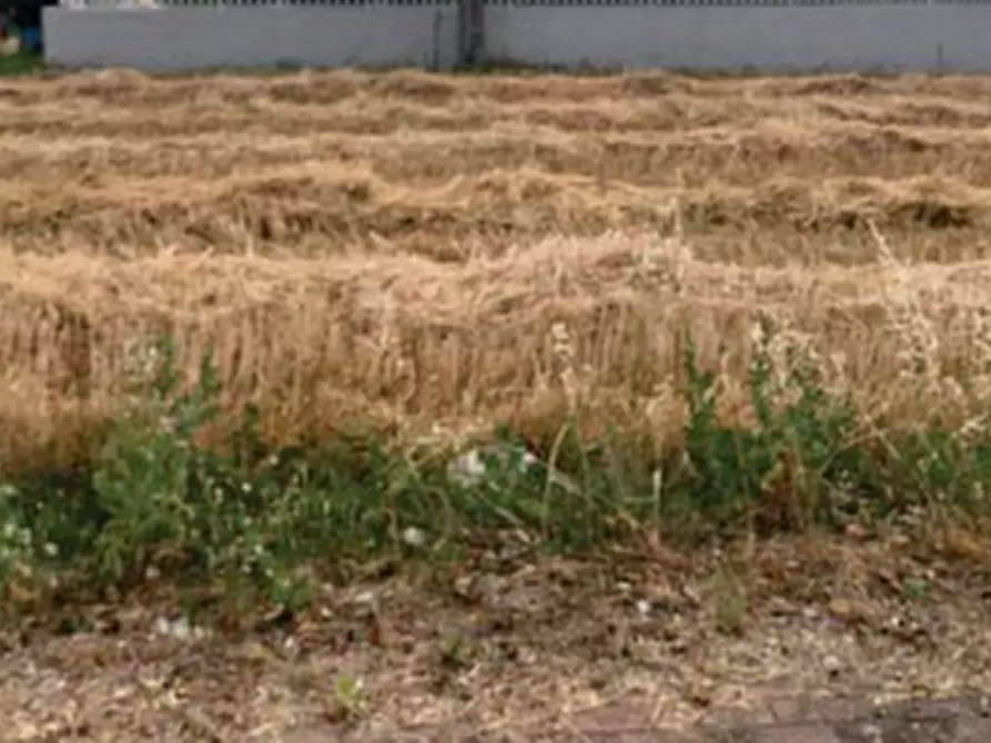 Immagine 2 di Terreno edificabile in vendita  in Via della Tombaccia a Fano
