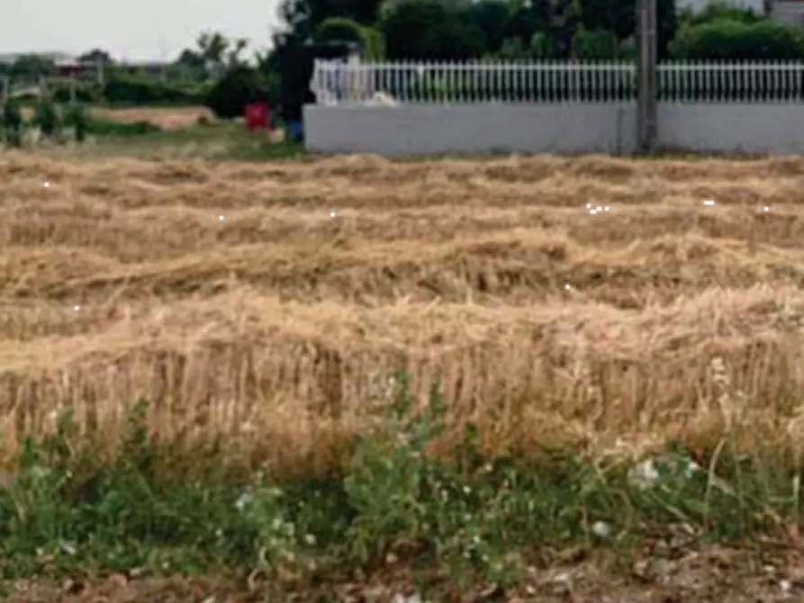 Immagine 4 di Terreno edificabile in vendita  in Via della Tombaccia a Fano