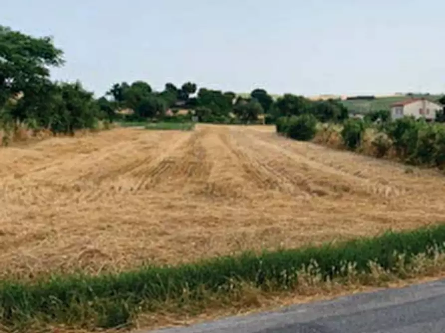 Immagine 15 di Terreno edificabile in vendita  in Via della Tombaccia a Fano