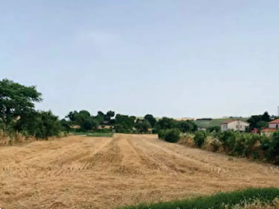 Immagine 18 di Terreno edificabile in vendita  in Via della Tombaccia a Fano