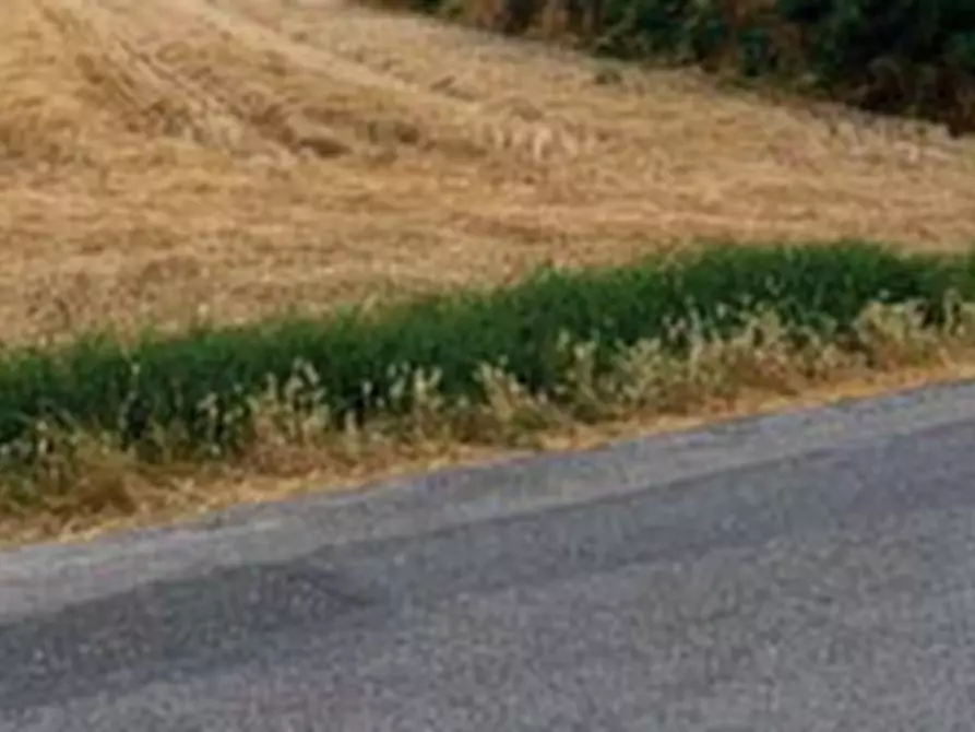 Immagine 19 di Terreno edificabile in vendita  in Via della Tombaccia a Fano