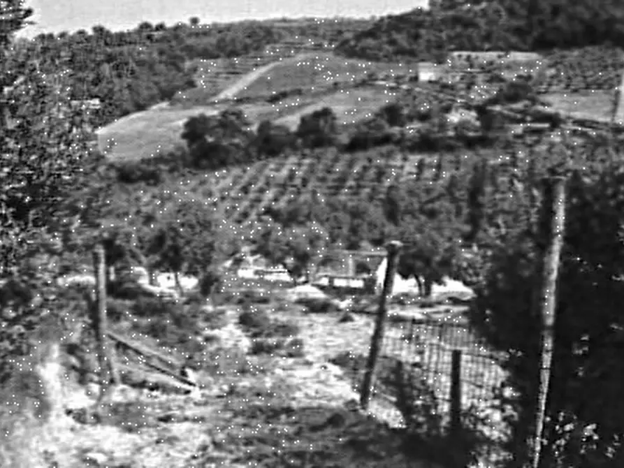 Immagine 1 di Terreno agricolo in vendita  in Via S. Quirico a Lapedona