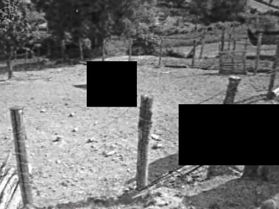 Immagine 5 di Terreno agricolo in vendita  in Via S. Quirico a Lapedona