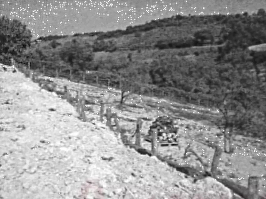 Immagine 7 di Terreno agricolo in vendita  in Via S. Quirico a Lapedona