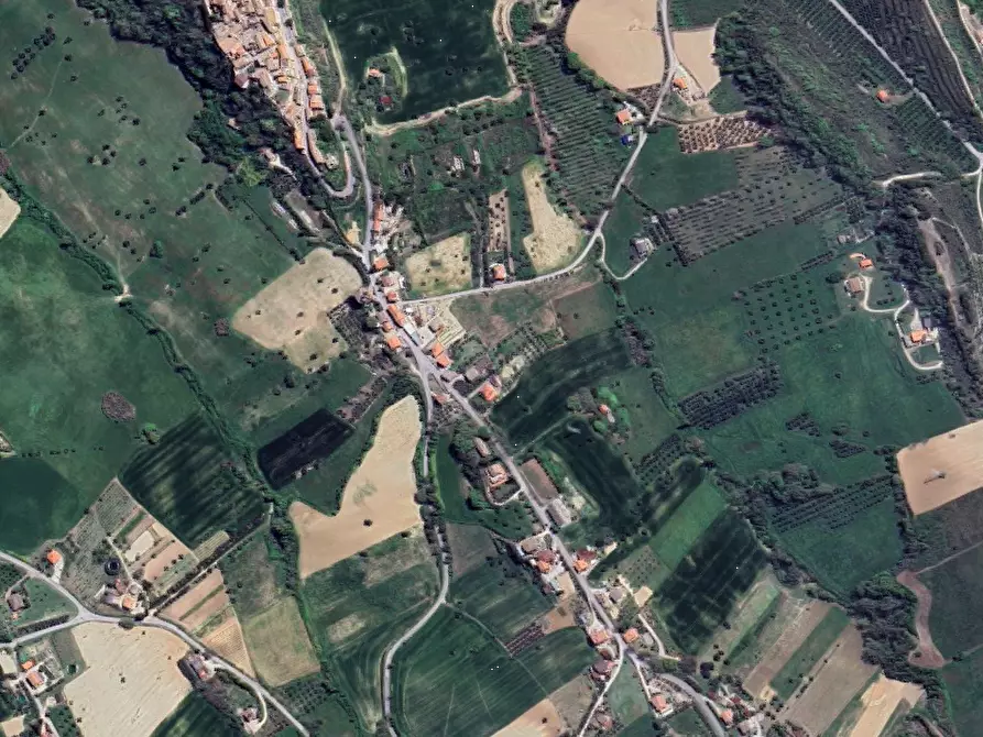 Immagine 9 di Terreno agricolo in vendita  in Via S. Quirico a Lapedona