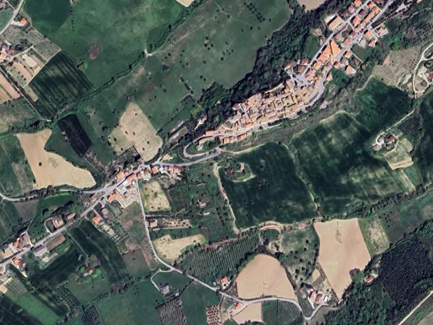 Immagine 11 di Terreno agricolo in vendita  in Via S. Quirico a Lapedona