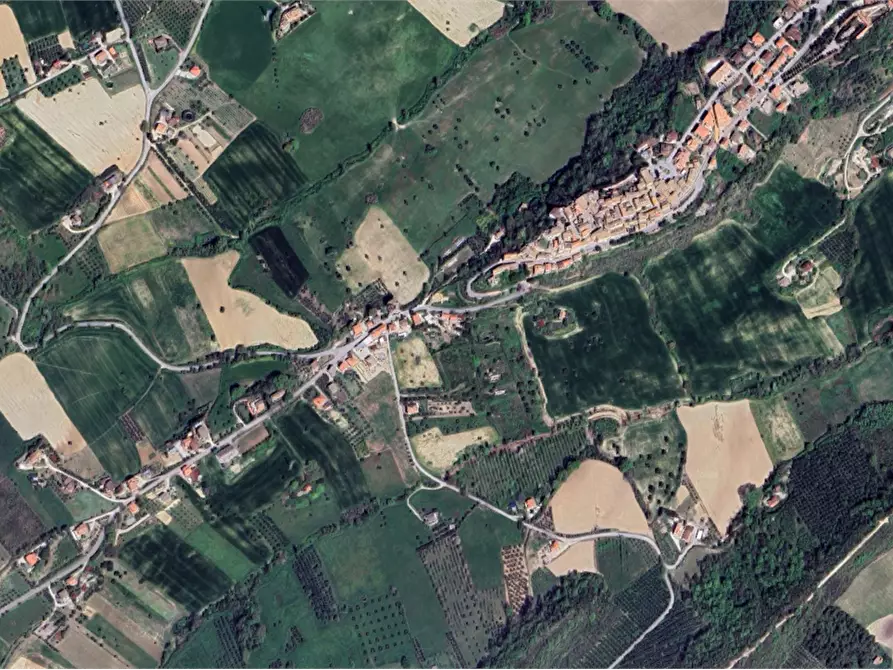 Immagine 12 di Terreno agricolo in vendita  in Via S. Quirico a Lapedona