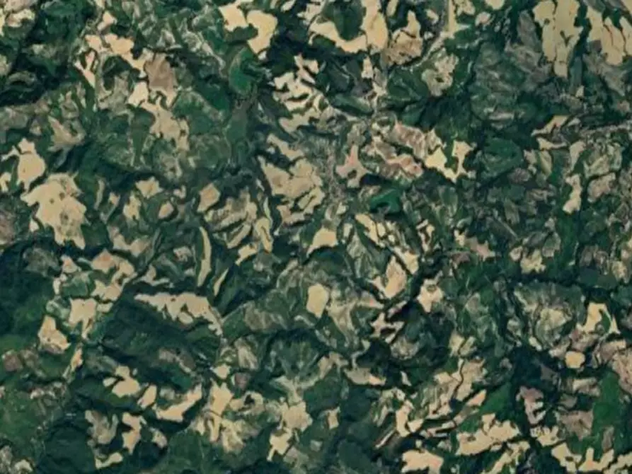 Immagine 2 di Terreno agricolo in vendita  in Via Girfalco a Urbino