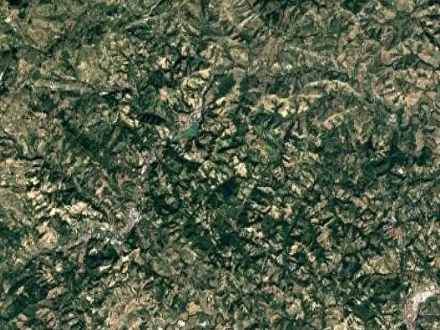 Immagine 3 di Terreno agricolo in vendita  in Via Girfalco a Urbino