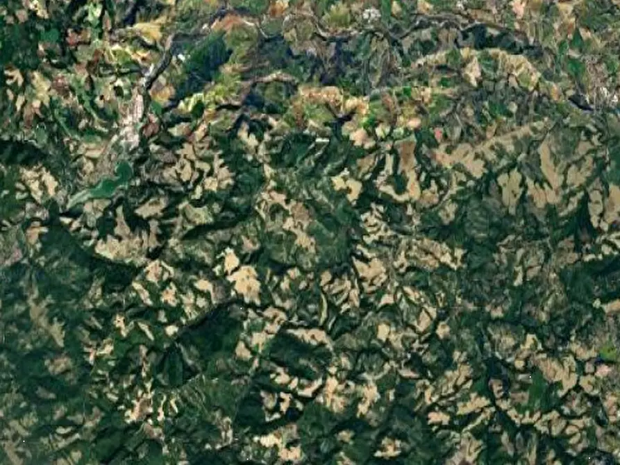 Immagine 4 di Terreno agricolo in vendita  in Via Girfalco a Urbino