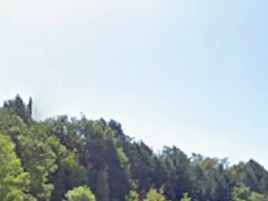 Immagine 15 di Terreno agricolo in vendita  in Via Girfalco a Urbino