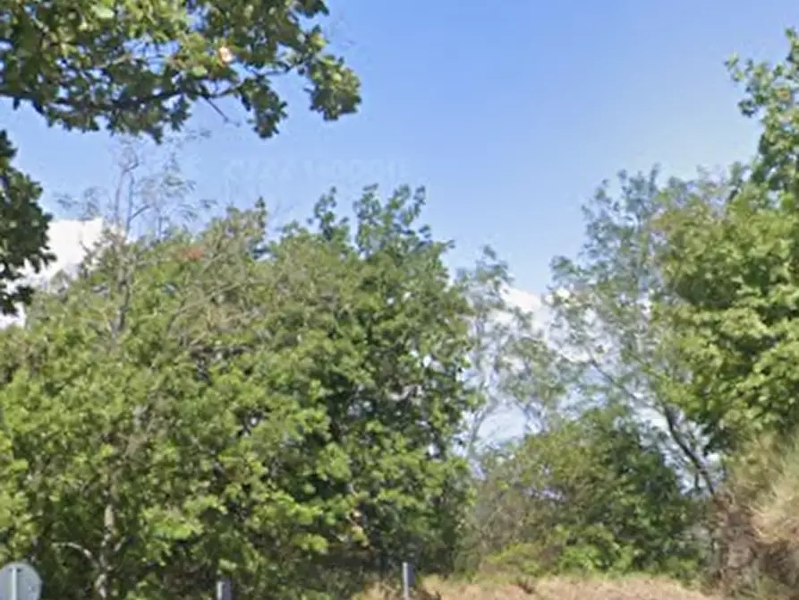 Immagine 16 di Terreno agricolo in vendita  in Via Girfalco a Urbino