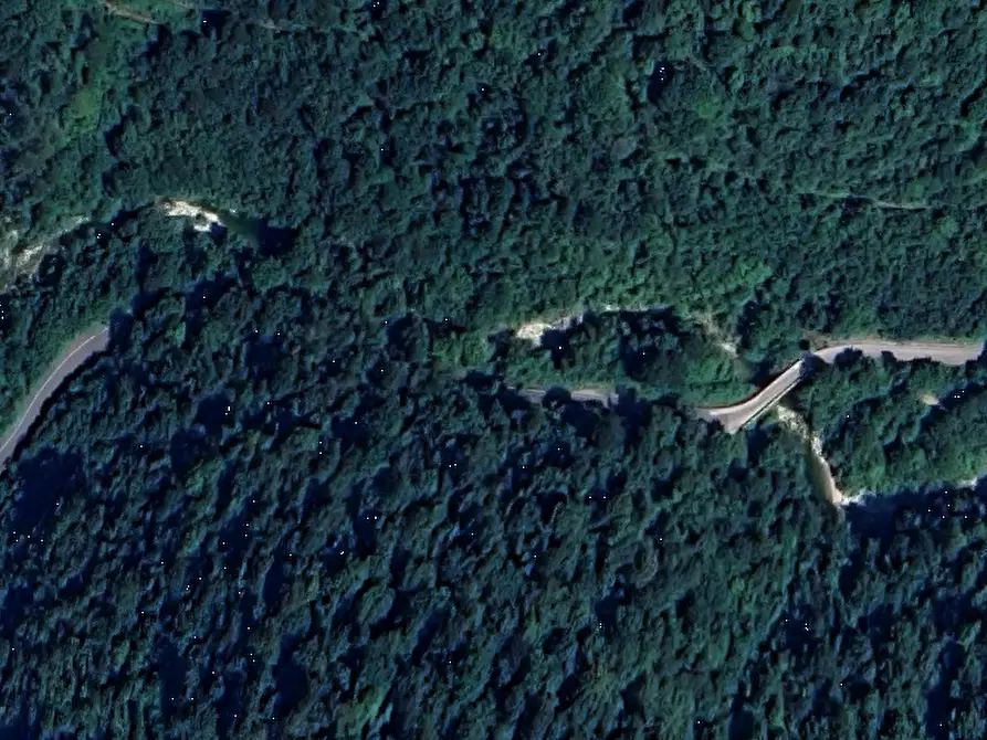 Immagine 5 di Terreno agricolo in vendita  in Localita' Ponte Sambo a Nimis