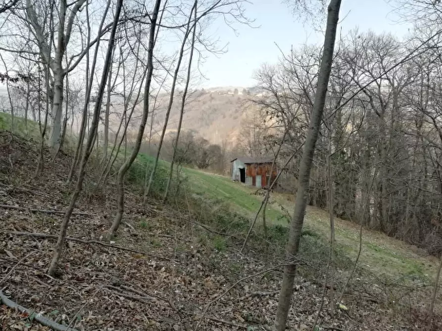 terreno agricolo in vendita a Lusiana Conco in zona Lusiana
