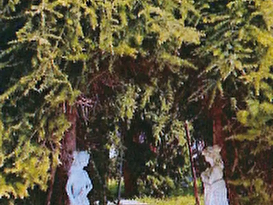 Immagine 9 di Appartamento in vendita  in Via Uve Bianche a Mira