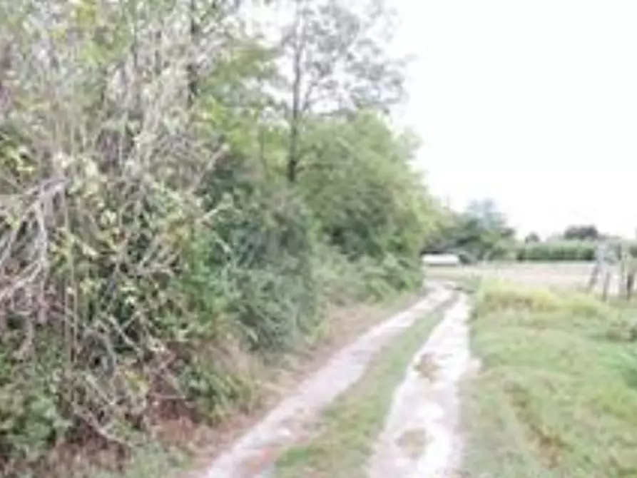 Immagine 1 di Terreno agricolo in vendita  in Via Dante Alighieri a San Pier D'isonzo
