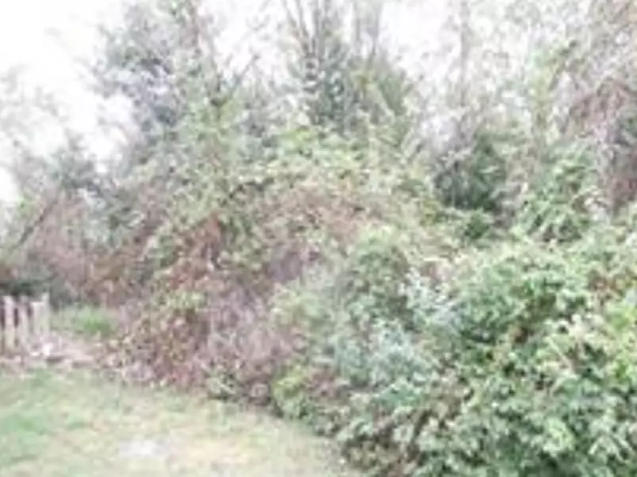 Immagine 2 di Terreno agricolo in vendita  in Via Dante Alighieri a San Pier D'isonzo