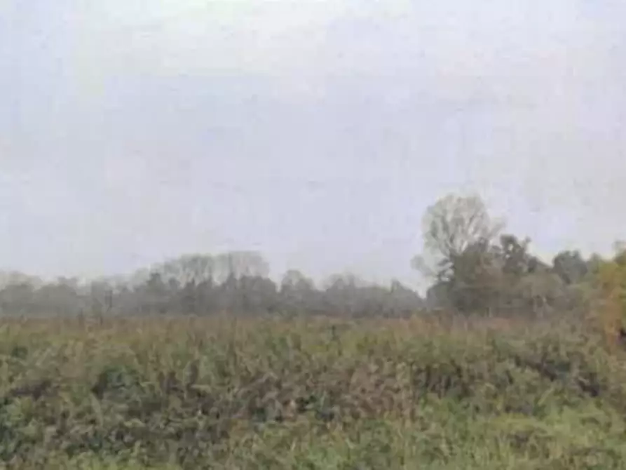 Immagine 4 di Rustico / casale in vendita  in Via Regina a Robecchetto Con Induno