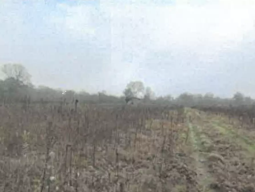 Immagine 6 di Rustico / casale in vendita  in Via Regina a Robecchetto Con Induno