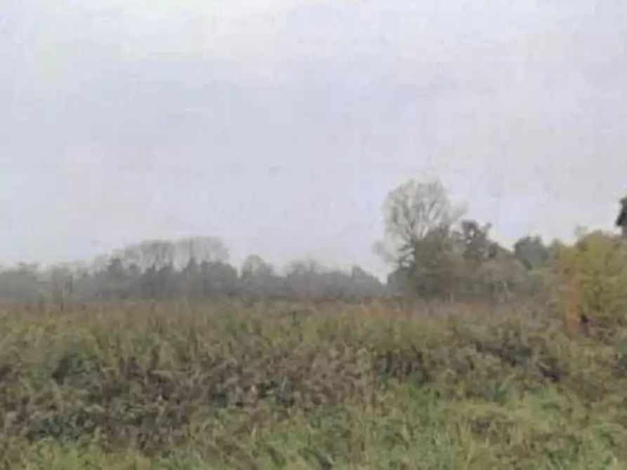 Immagine 21 di Rustico / casale in vendita  in Via Regina a Robecchetto Con Induno