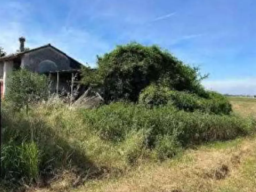 Immagine 2 di Terreno agricolo in vendita  in Localita' San Protaso Fiasca Grossa a Fiorenzuola D'arda