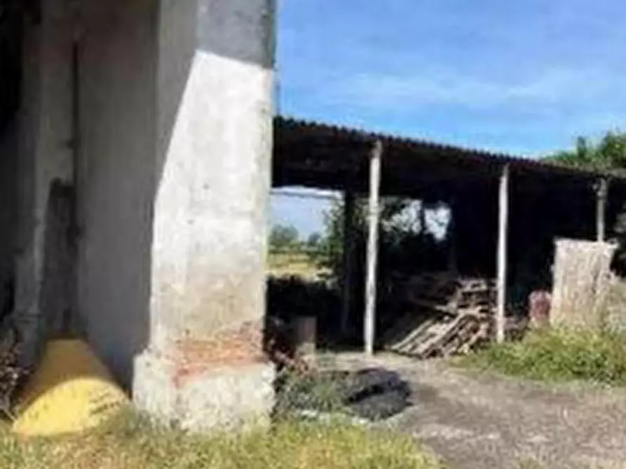Immagine 3 di Terreno agricolo in vendita  in Localita' San Protaso Fiasca Grossa a Fiorenzuola D'arda
