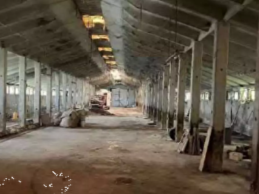 Immagine 4 di Terreno agricolo in vendita  in Localita' San Protaso Fiasca Grossa a Fiorenzuola D'arda