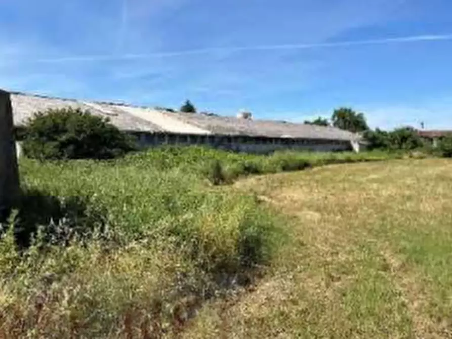 Immagine 1 di Terreno agricolo in vendita  in Localita' San Protaso Fiasca Grossa a Fiorenzuola D'arda