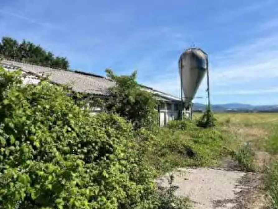 Immagine 7 di Terreno agricolo in vendita  in Localita' San Protaso Fiasca Grossa a Fiorenzuola D'arda
