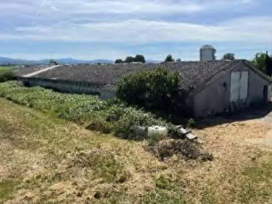 Immagine 8 di Terreno agricolo in vendita  in Localita' San Protaso Fiasca Grossa a Fiorenzuola D'arda