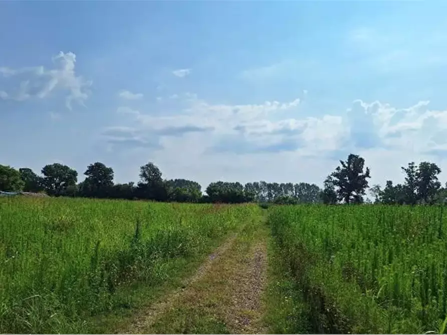 Immagine 2 di Terreno agricolo in vendita  in Località Ozzero a Ozzero
