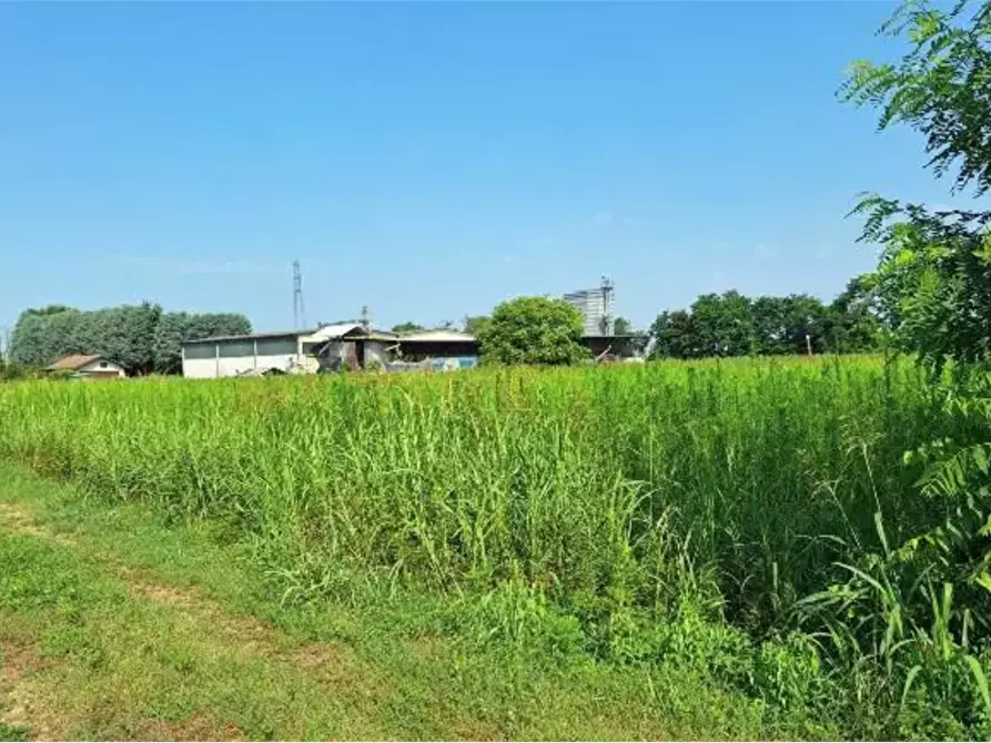 Immagine 3 di Terreno agricolo in vendita  in Località Ozzero a Ozzero