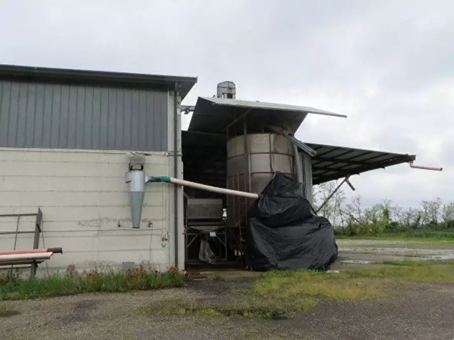 Immagine 10 di Villa in vendita  in Via Venticinque Aprile a Ozzero