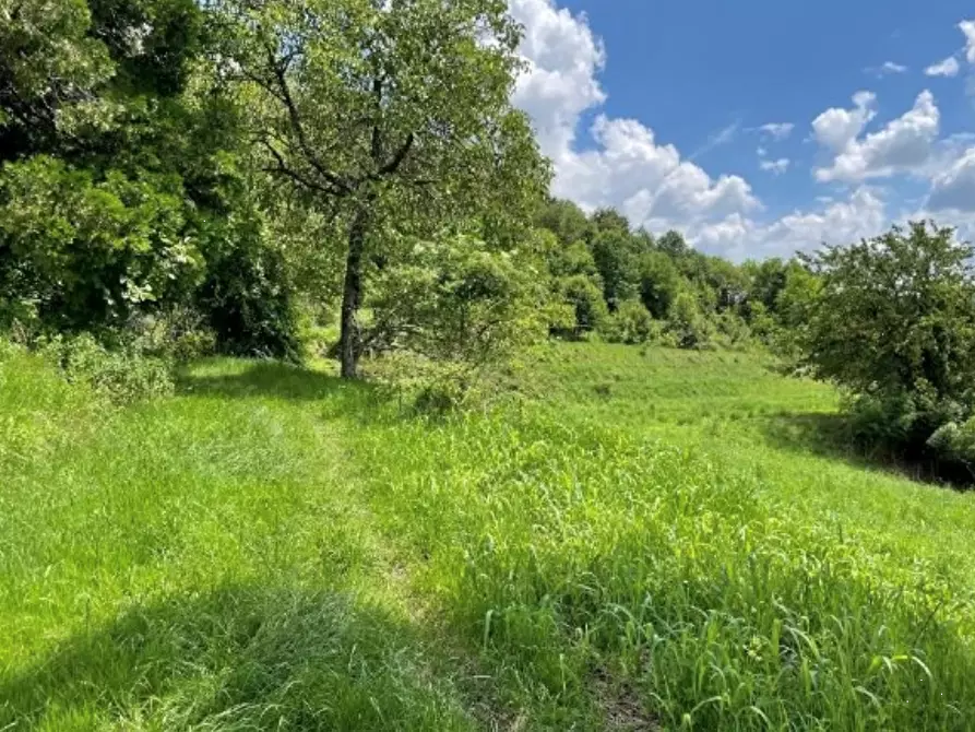 Immagine 10 di Terreno edificabile in vendita  in Via S. Carlo a Castello Di Brianza