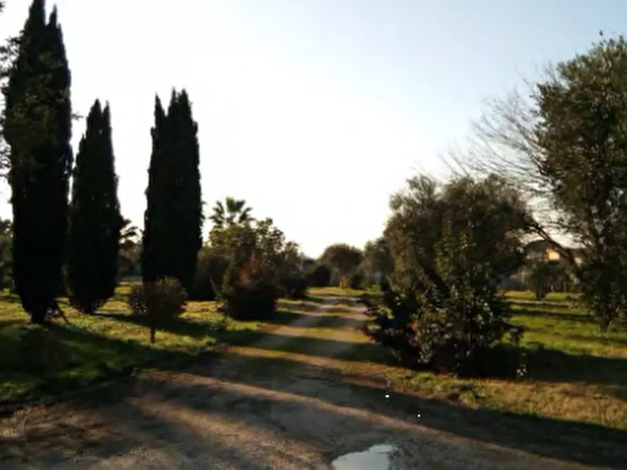 Immagine 7 di Villa in vendita  in via Giovenco a Aprilia