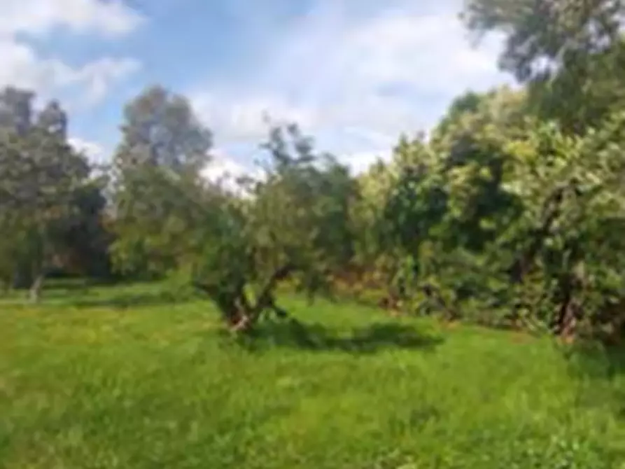 Immagine 13 di Villa in vendita  in via Giovenco a Aprilia