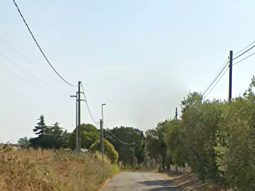 Immagine 3 di Terreno agricolo in vendita  in Via Torre Bruna a Aprilia