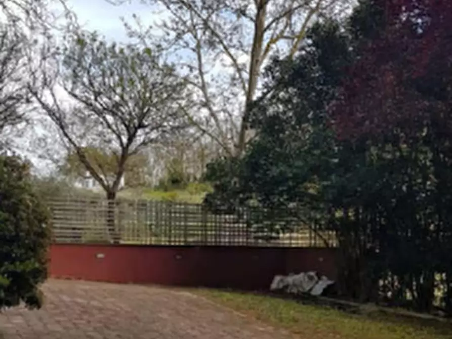 Immagine 3 di Casa indipendente in vendita  in Via Cairo a Mombaroccio