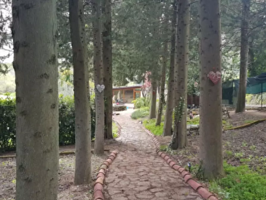 Immagine 4 di Casa indipendente in vendita  in Via Cairo a Mombaroccio