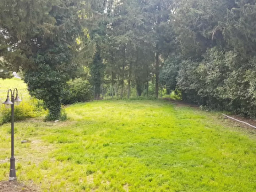 Immagine 6 di Casa indipendente in vendita  in Via Cairo a Mombaroccio